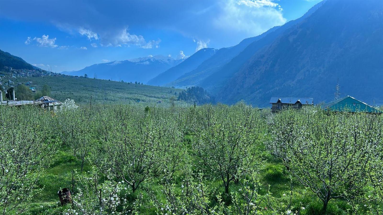 Hostel The Hideout - Hiraeth Manali (Himachal Pradesh)