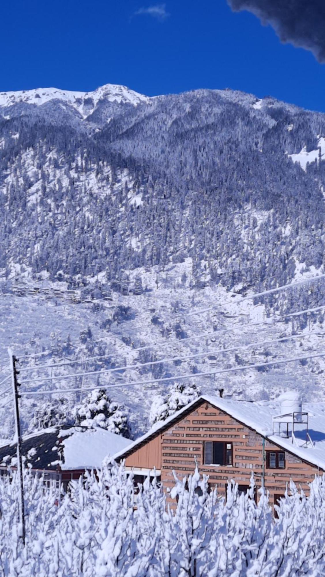 The Hideout - Hiraeth Manali (Himachal Pradesh)
